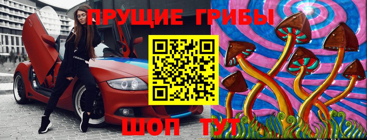 что такое   Галлюциногенные грибы Psilocybine cubensis  Галлюциногенные грибы мицелий  Вход с VPN  Новодвинск 