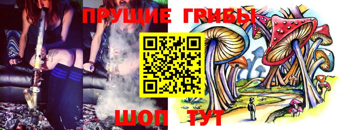 Галлюциногенные грибы Magic Shrooms Новодвинск
