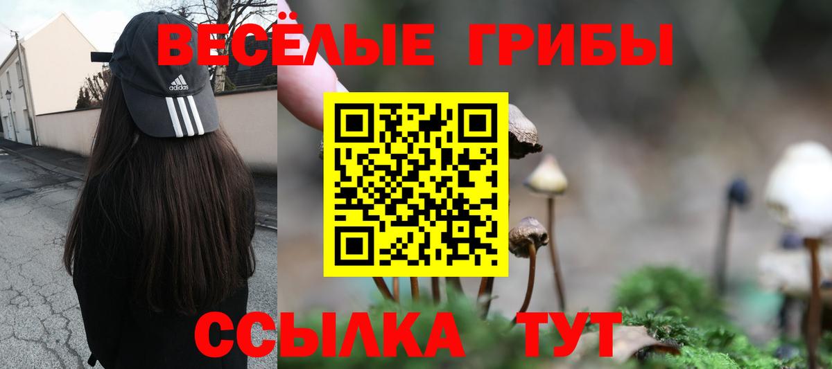 Меф кристаллы  ГАШИШ  Новодвинск  ГАШ  NBOMe  Вход с VPN  ЭКСТАЗИ  Марихуана  Меф МЯУ МЯУ  Кокаин  Лсд 25 